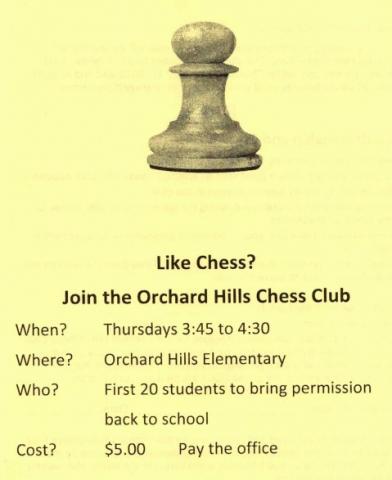 Like Chess?