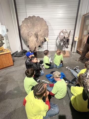 BYU Paleontology Museum
